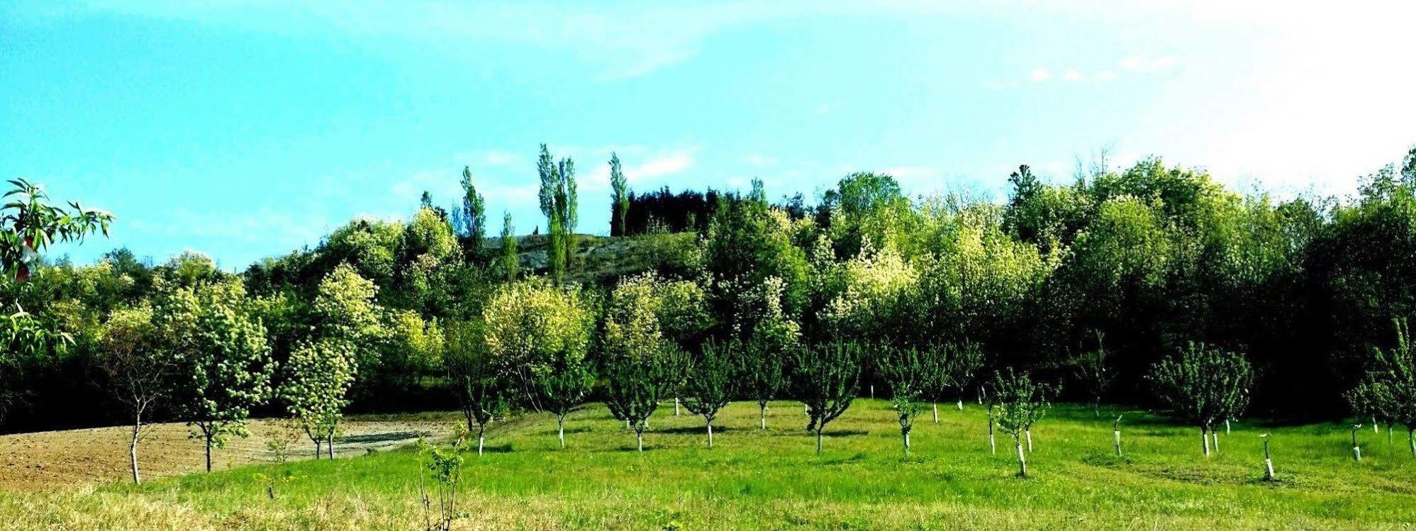 Tenuta Valdorso - Agri Resort Montechiaro D'acqui Екстериор снимка
